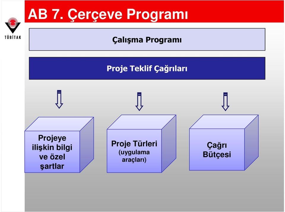 Projeye ilişkin bilgi ve özel