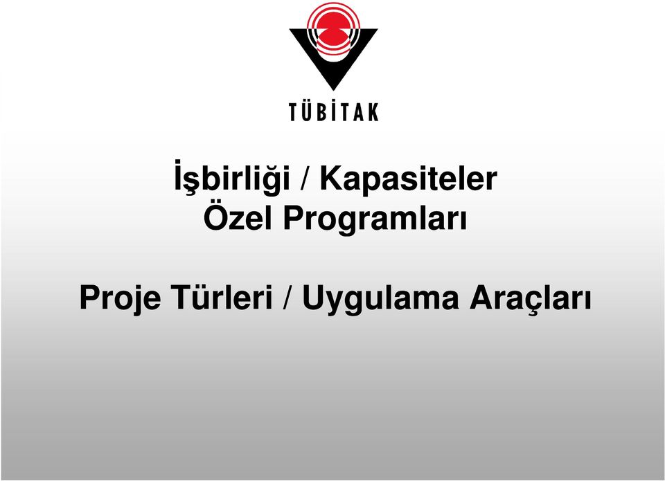 Programları Proje