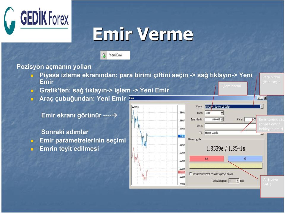 çubuğundan: Yeni Emir Emir ekranı görünür ---- Sonraki adımlar Emir parametrelerinin seçimi