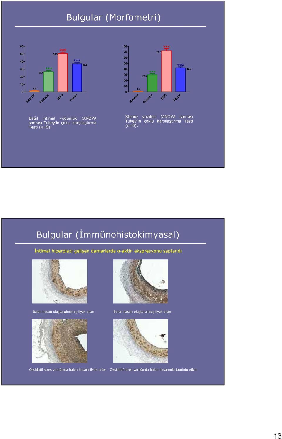 2 Bağıl intimal yoğunluk (ANOVA sonrası Tukey in çoklu karşılaştırma Testi (n=5): Stenoz yüzdesi (ANOVA sonrası Tukey in çoklu karşılaştırma Testi (n=5):