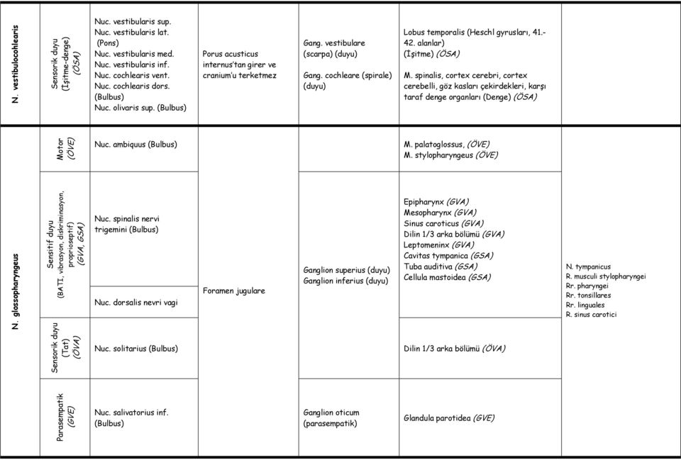 spinalis, cortex cerebri, cortex cerebelli, göz kasları çekirdekleri, karşı taraf denge organları (Denge) (ÖSA) Nuc. ambiquus M. palatoglossus, M. stylopharyngeus N.