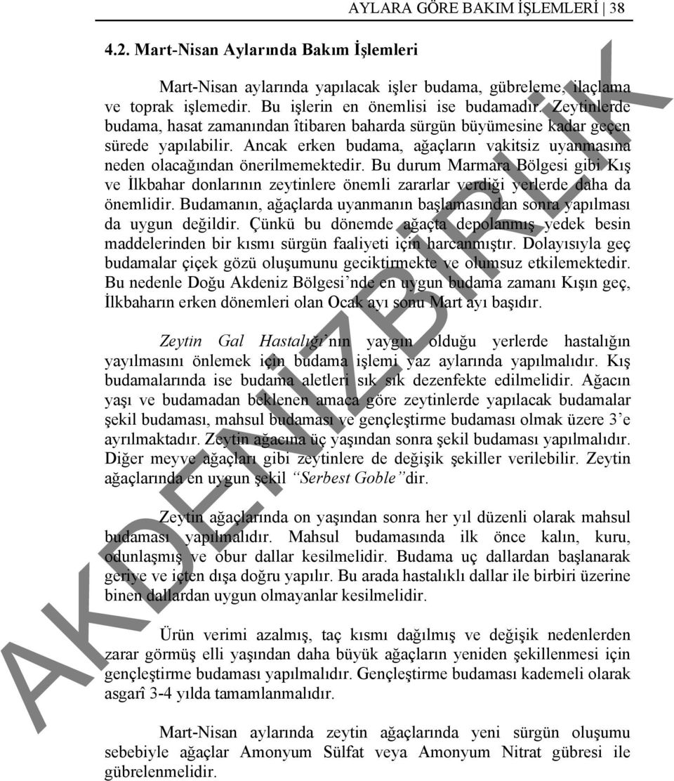 Bu durum Marmara Bölgesi gibi Kış ve İlkbahar donlarının zeytinlere önemli zararlar verdiği yerlerde daha da önemlidir. Budamanın, ağaçlarda uyanmanın başlamasından sonra yapılması da uygun değildir.