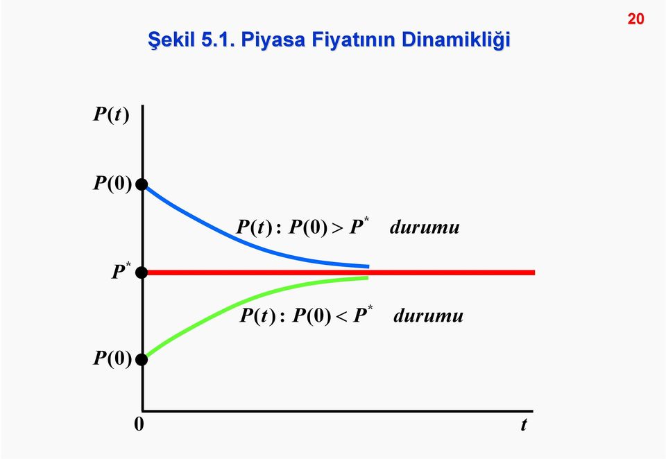 Dinamikliği 0 P() t P(0) *
