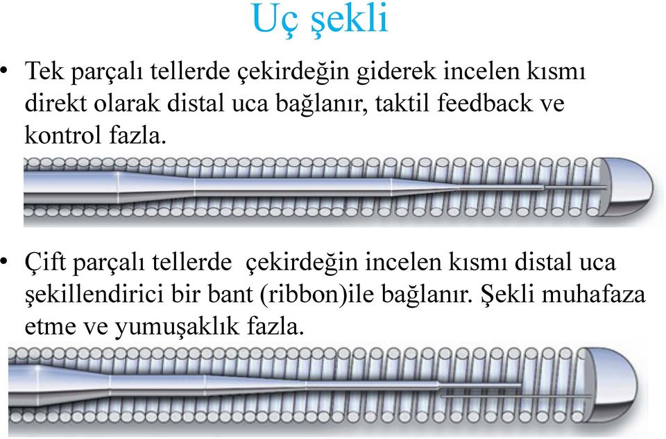 Çift parçalı tellerde çekirdeğin incelen kısmı distal uca