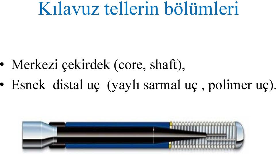 shaft), Esnek distal uç