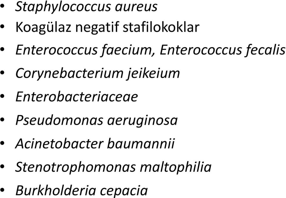 jeikeium Enterobacteriaceae Pseudomonas aeruginosa