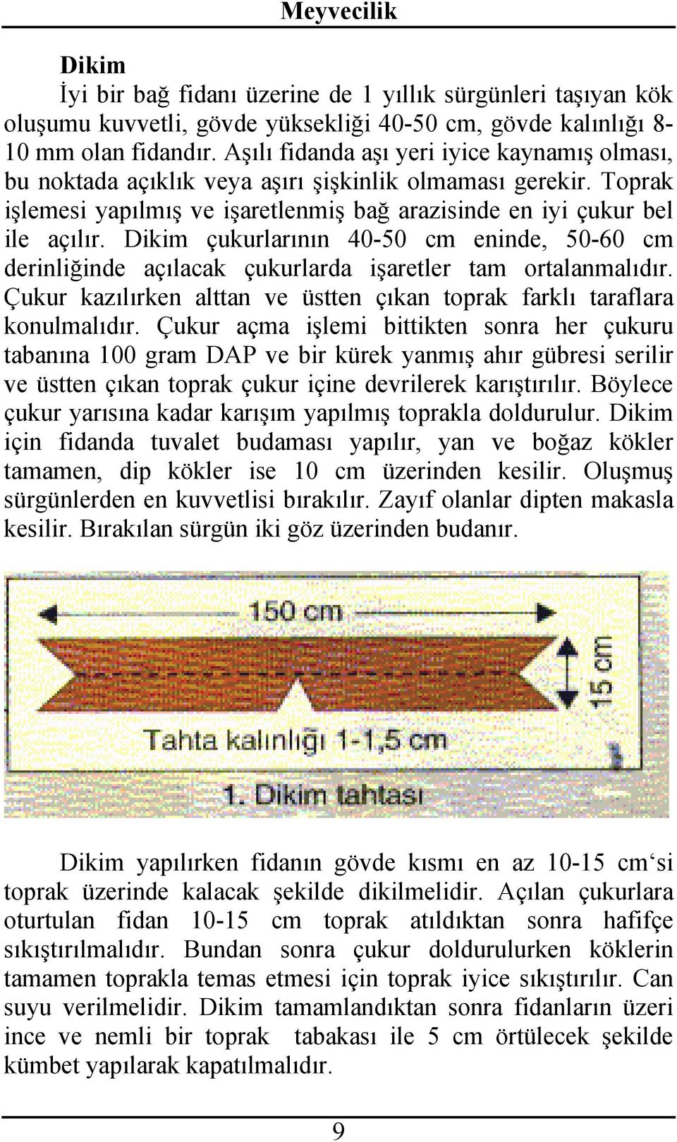 Dikim çukurlarının 40-50 cm eninde, 50-60 cm derinliğinde açılacak çukurlarda işaretler tam ortalanmalıdır. Çukur kazılırken alttan ve üstten çıkan toprak farklı taraflara konulmalıdır.