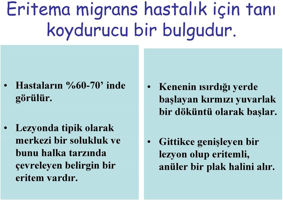 Lezyonda tipik olarak merkezi bir solukluk ve bunu halka tarzında çevreleyen belirgin