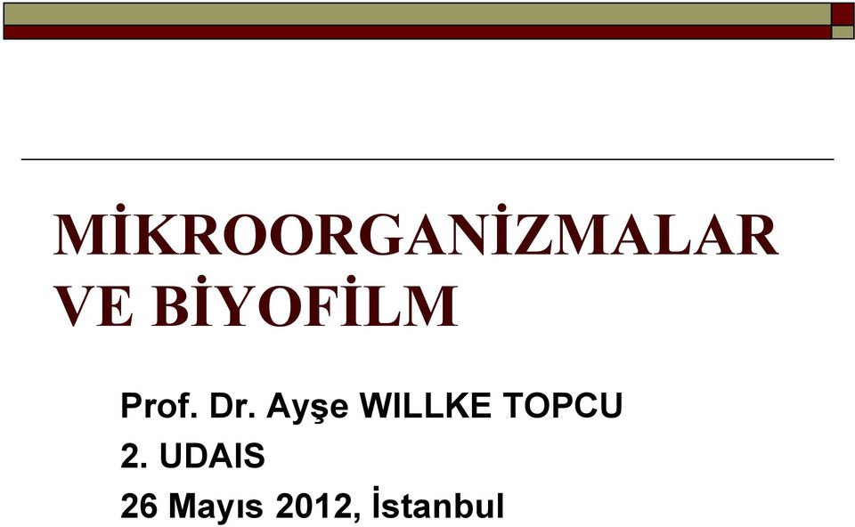 Ayşe WILLKE TOPCU 2.