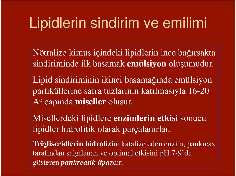 Lipid sindiriminin ikinci basama ında emülsiyon partiküllerine safra tuzlarının katılmasıyla 16-20 A o çapında miseller