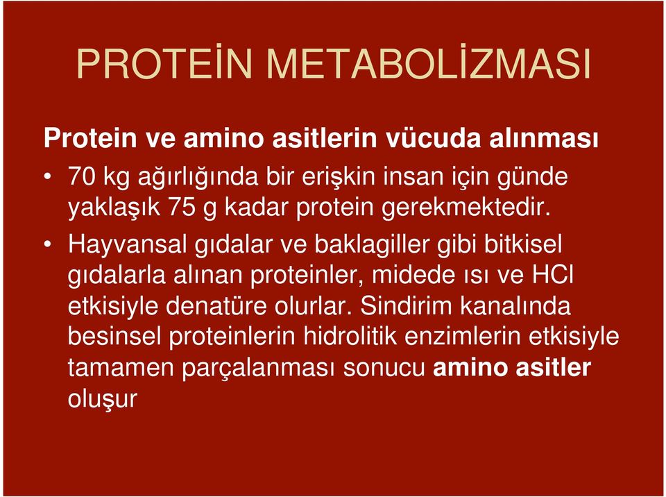 Hayvansal gıdalar ve baklagiller gibi bitkisel gıdalarla alınan proteinler, midede ısı ve HCl