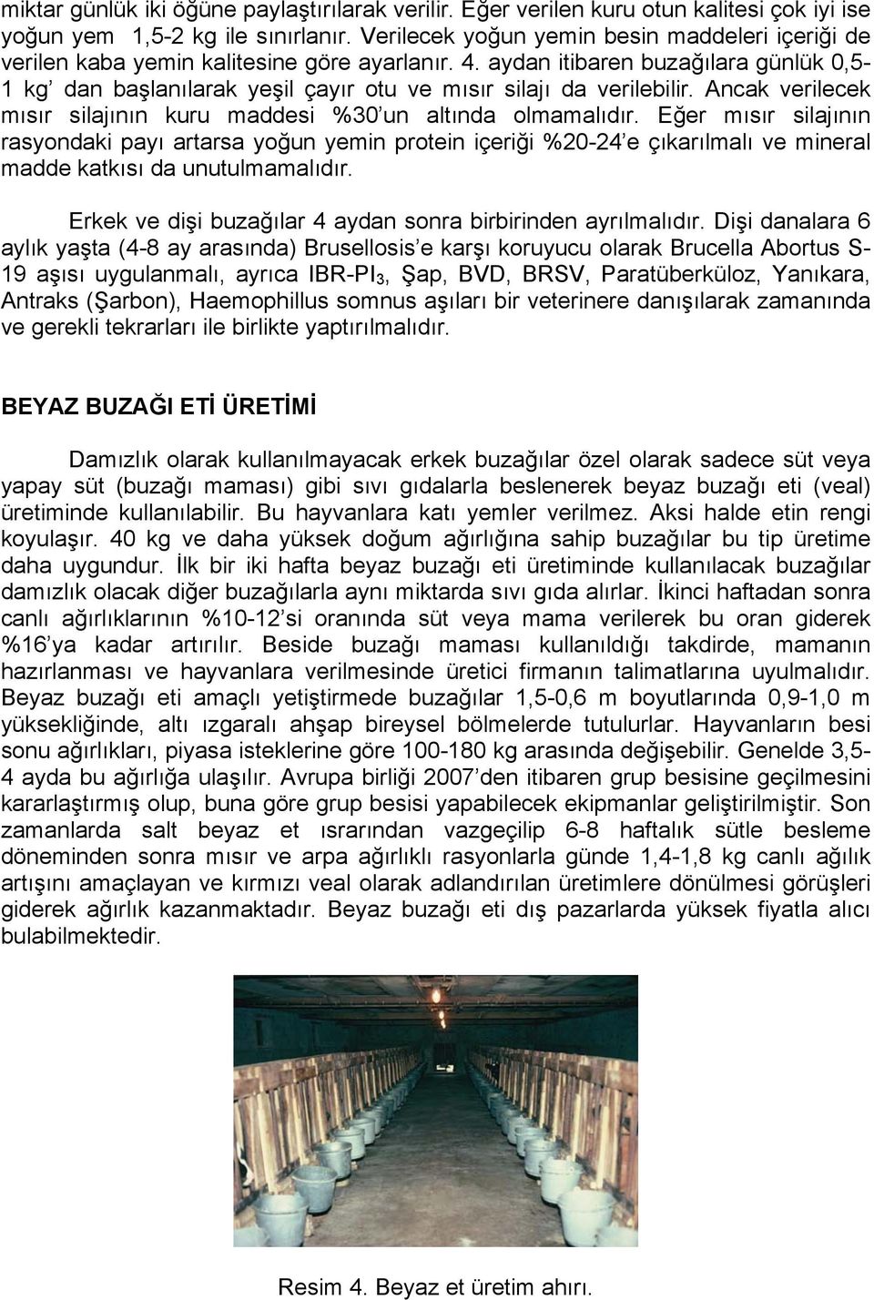 aydan itibaren buzağılara günlük 0,5-1 kg dan başlanılarak yeşil çayır otu ve mısır silajı da verilebilir. Ancak verilecek mısır silajının kuru maddesi %30 un altında olmamalıdır.