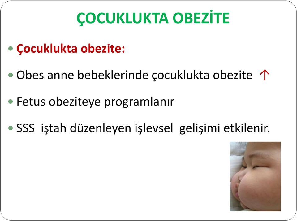 obezite Fetus obeziteye programlanır