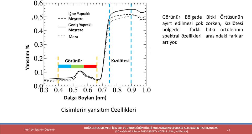 bölgede farklı bitki örtülerinin