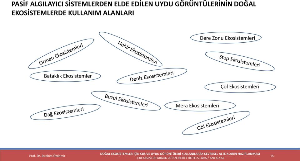 ALANLARI Dere Zonu Ekosistemleri Bataklık