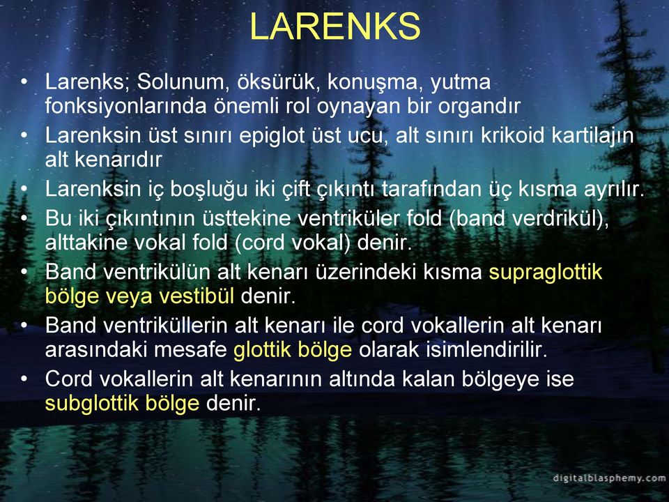 Bu iki çıkıntının üsttekine ventriküler fold (band verdrikül), alttakine vokal fold (cord vokal) denir.