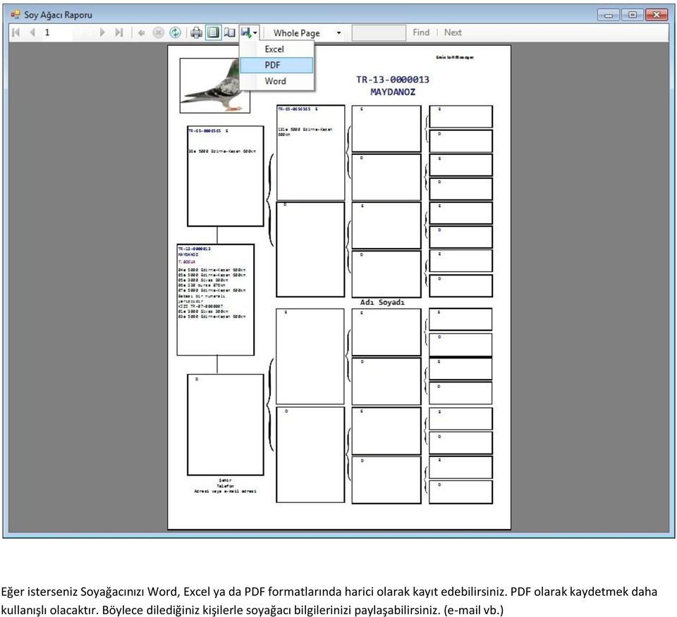 PDF olarak kaydetmek daha kullanışlı olacaktır.