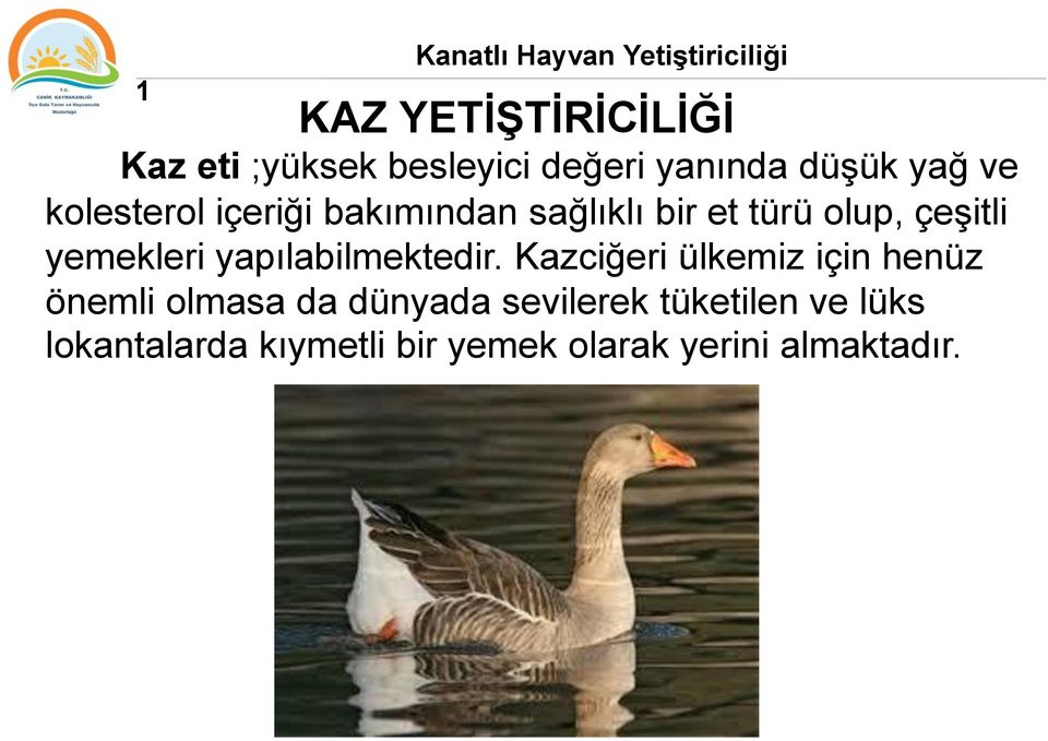 çeşitli yemekleri yapılabilmektedir.