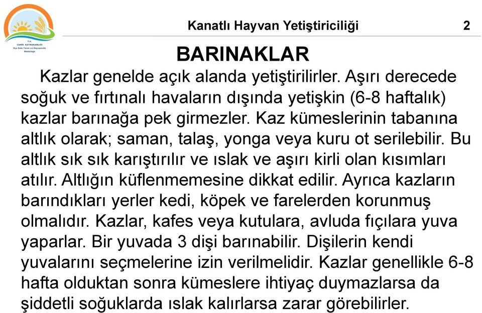 Kaz kümeslerinin tabanına altlık olarak; saman, talaş, yonga veya kuru ot serilebilir. Bu altlık sık sık karıştırılır ve ıslak ve aşırı kirli olan kısımları atılır.