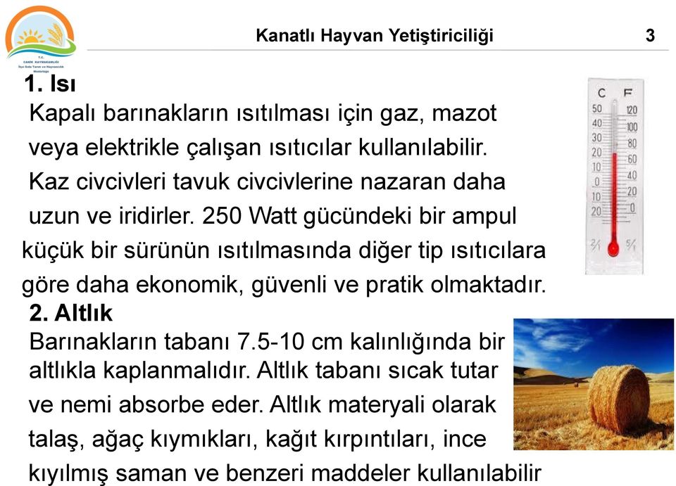 250 Watt gücündeki bir ampul küçük bir sürünün ısıtılmasında diğer tip ısıtıcılara göre daha ekonomik, güvenli ve pratik olmaktadır. 2.