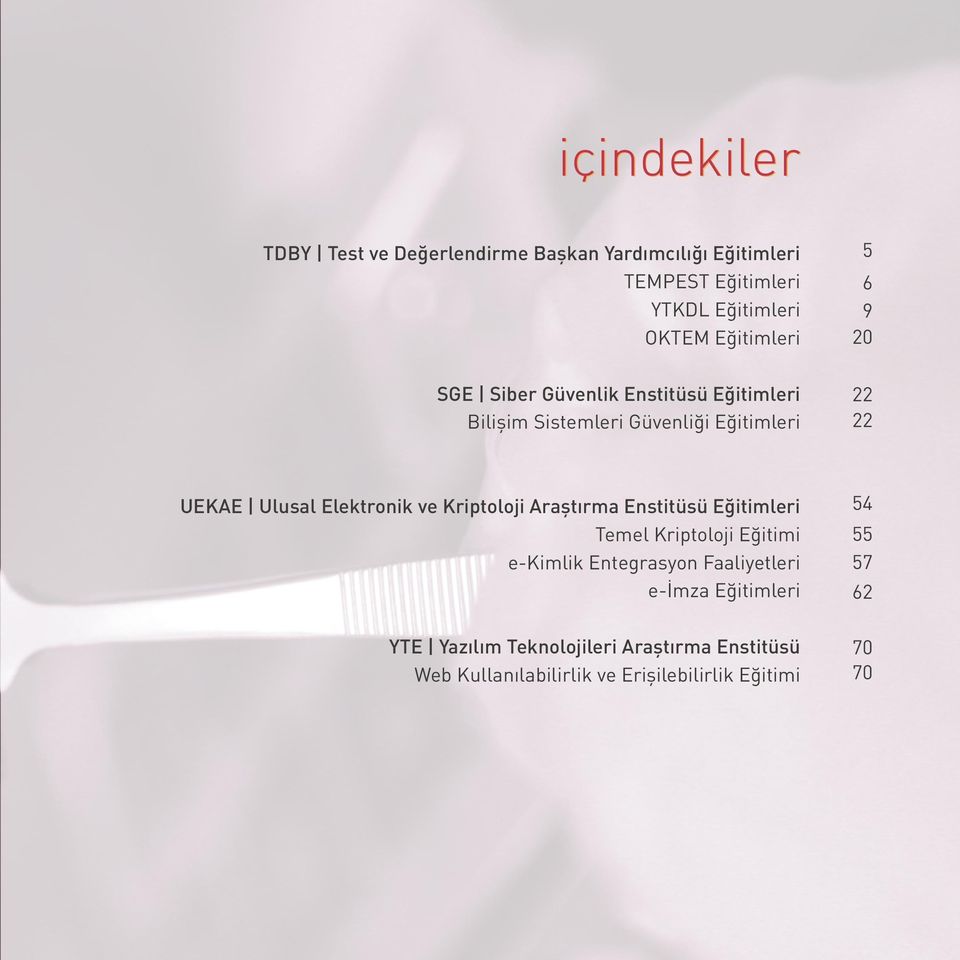 UEKAE Ulusal Elektronik ve Kriptoloji Araştırma Enstitüsü Eğitimleri Temel Kriptoloji Eğitimi e-kimlik Entegrasyon Faaliyetleri