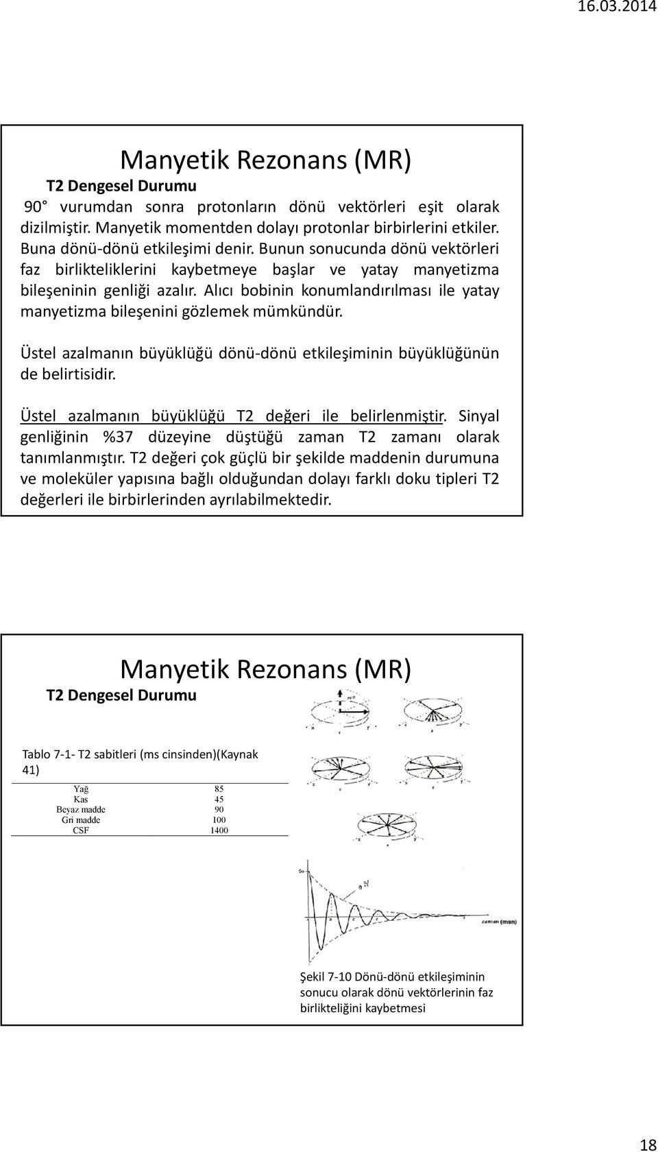 Alıcı bobinin konumlandırılması ile yatay manyetizma bileşenini gözlemek mümkündür. Üstel azalmanın büyüklüğü dönü dönü etkileşiminin büyüklüğünün de belirtisidir.