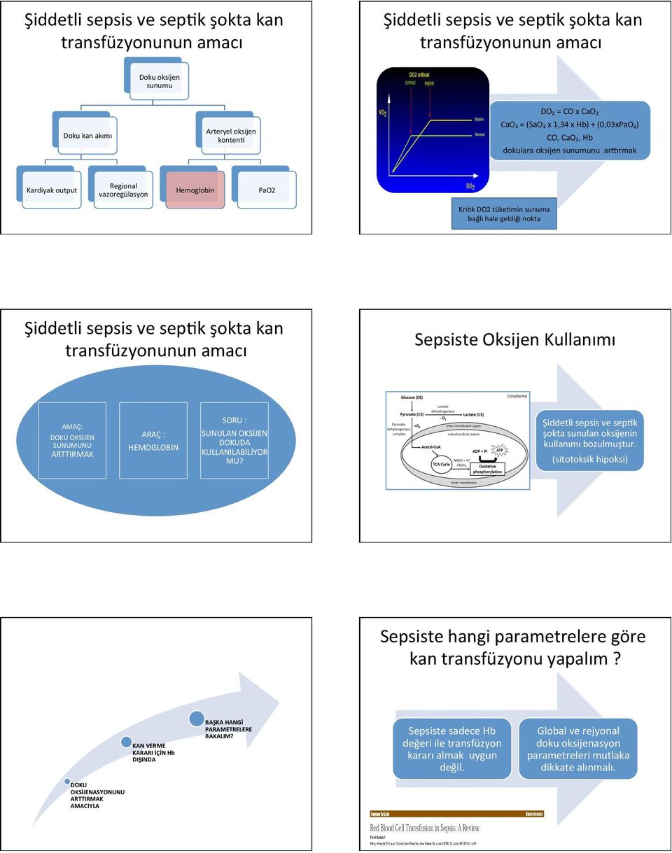 sepsis ve sepkk şokta kan transfüzyonunun amacı Sepsiste Oksijen Kullanımı AMAÇ: DOKU OKSİJEN SUNUMUNU ARTTIRMAK ARAÇ : HEMOGLOBİN SORU : SUNULAN OKSİJEN DOKUDA KULLANILABİLİYOR MU?