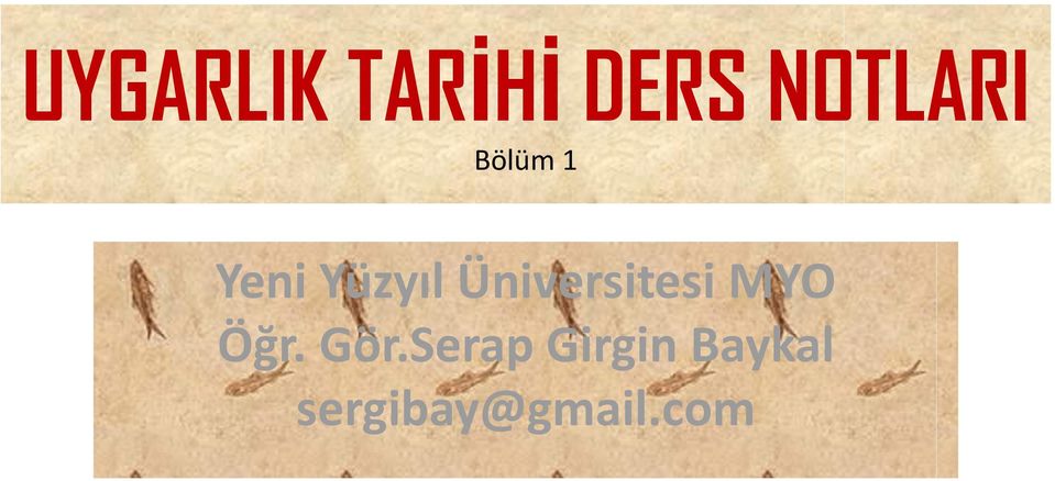 Üniversitesi MYO Öğr. Gör.