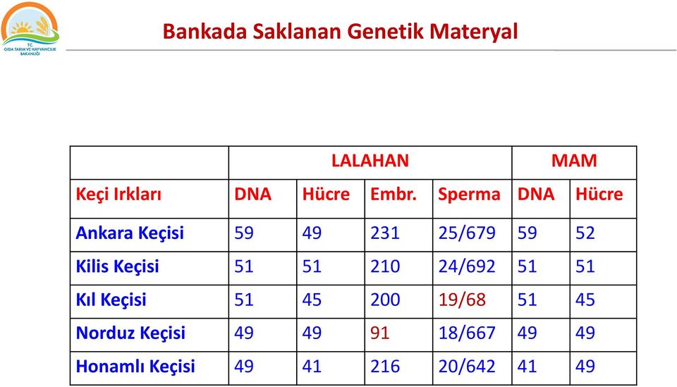 Sperma DNA Hücre Ankara Keçisi 59 49 231 25/679 59 52 Kilis Keçisi