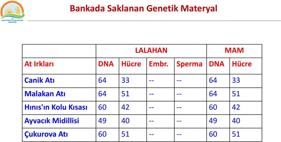 Sperma DNA Hücre Canik Atı 64 33 -- -- 64 33 Malakan Atı 64 51