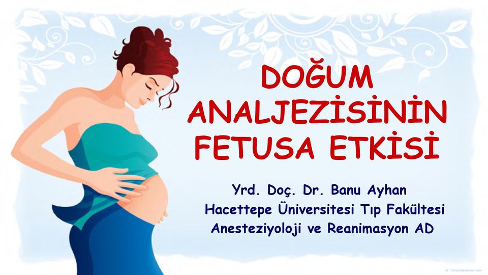 Banu Ayhan Hacettepe