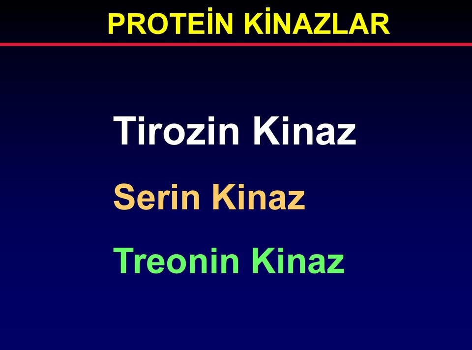 Tirozin Kinaz