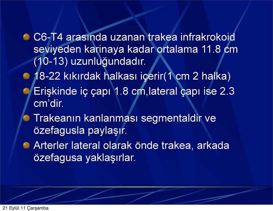 18-22 kıkırdak halkası içerir(1 cm 2 halka) Erişkinde iç çapı 1.8 cm,lateral çapı ise 2.