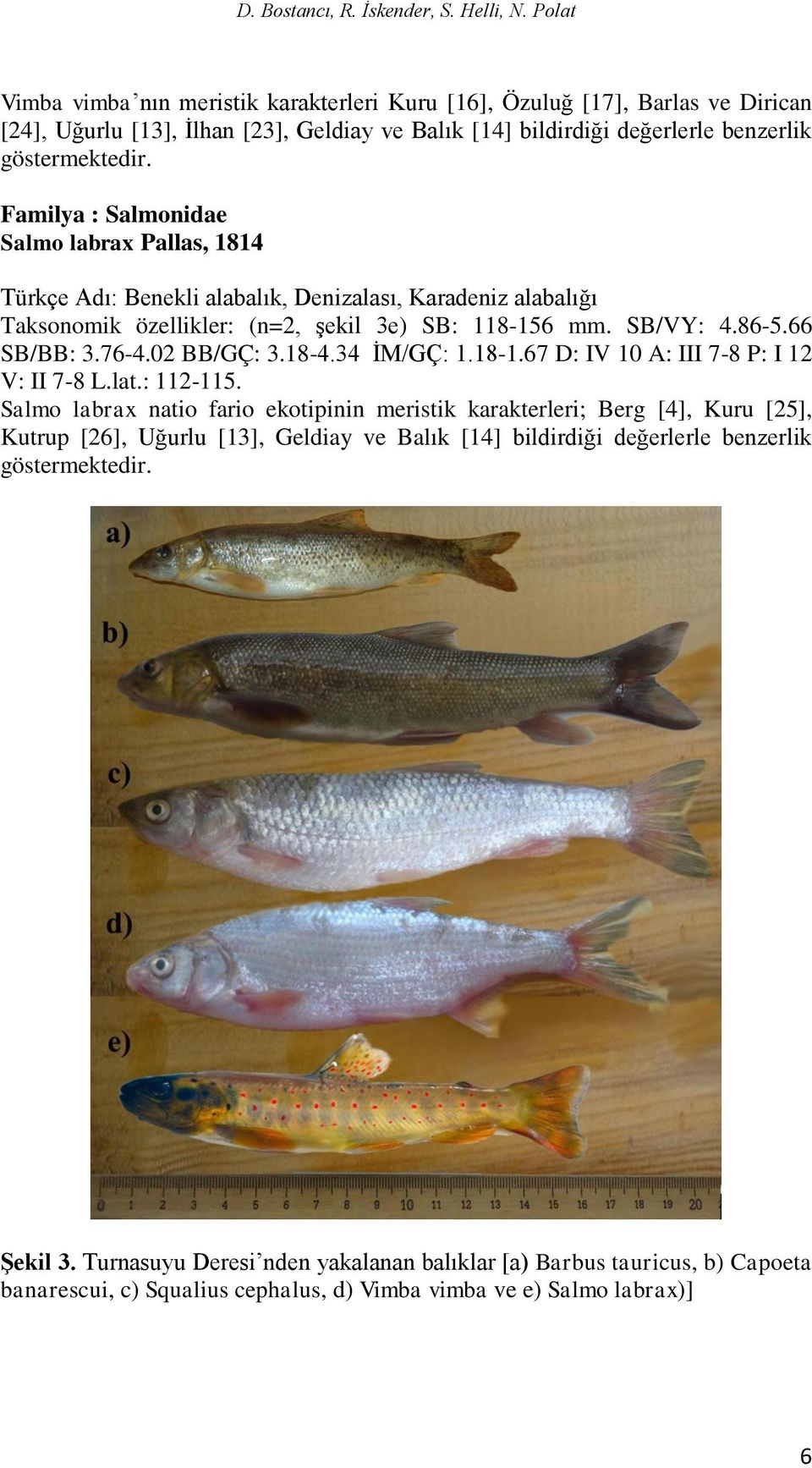 Familya : Salmonidae Salmo labrax Pallas, 1814 Türkçe Adı: Benekli alabalık, Denizalası, Karadeniz alabalığı Taksonomik özellikler: (n=2, şekil 3e) SB: 118-156 mm. SB/VY: 4.86-5.66 SB/BB: 3.76-4.