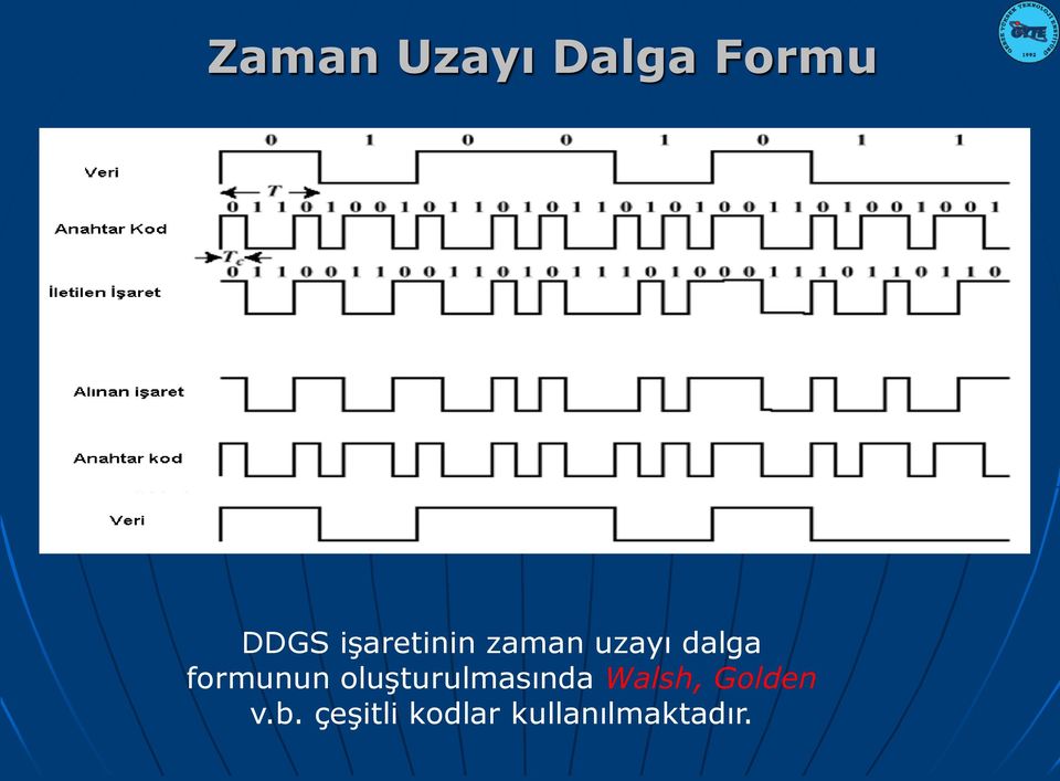 formunun oluşturulmasında Walsh,