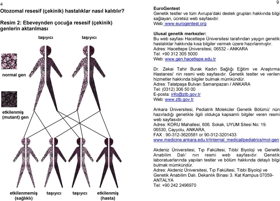 web sayfasıdır. Web: www.eurogentest.org Ulusal genetik merkezler: Bu web sayfası Hacettepe Üniversitesi tarafından yaygın genetik hastalıklar hakkında kısa bilgiler vermek üzere hazırlanmıştır.