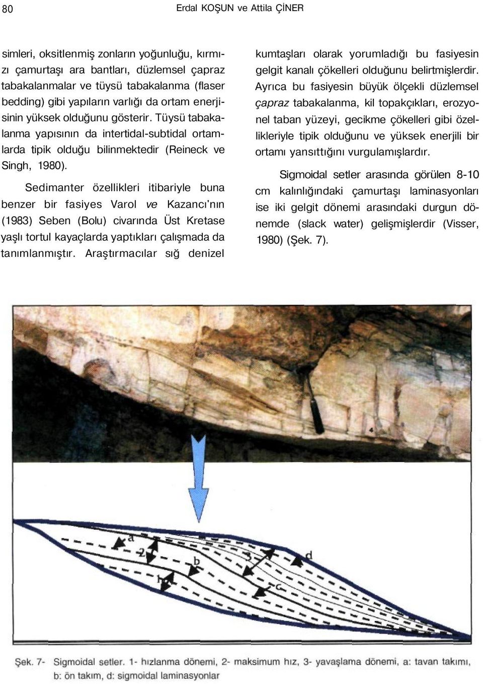 Sedimanter özellikleri itibariyle buna benzer bir fasiyes Varol ve Kazancı'nın (1983) Seben (Bolu) civarında Üst Kretase yaşlı tortul kayaçlarda yaptıkları çalışmada da tanımlanmıştır.