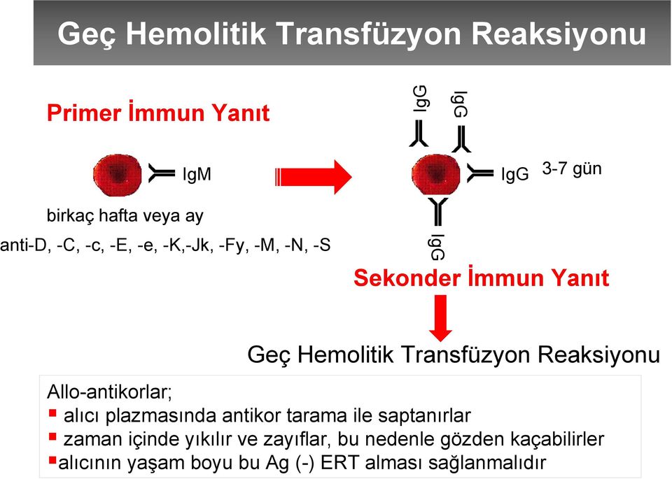 Transfüzyon Reaksiyonu Allo-antikorlar; alıcı plazmasında antikor tarama ile saptanırlar zaman