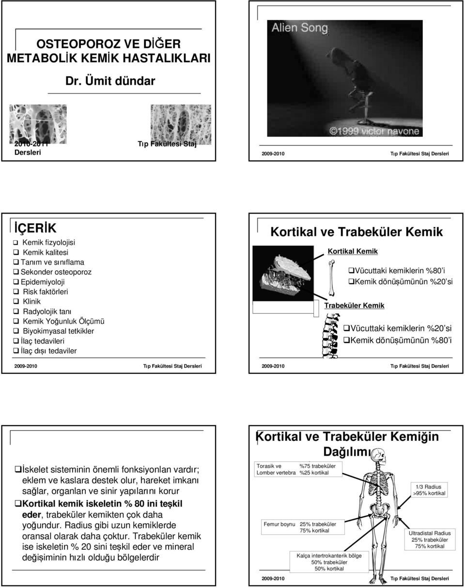 tetkikler İlaç tedavileri İlaç dışı tedaviler Kortikal ve Trabeküler Kortikal Vücuttaki kemiklerin %80 i dönüşümünün %20 si Trabeküler Vücuttaki kemiklerin %20 si dönüşümünün %80 i İskelet sisteminin