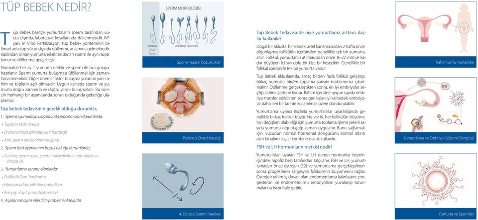 Kadından alınan yumurta erkekten alınan sperm ile aynı tüpe konur ve döllenme gerçekleşir. Normalde her ay 1 yumurta üretilir ve sperm ile buluşmaya hazırlanır.