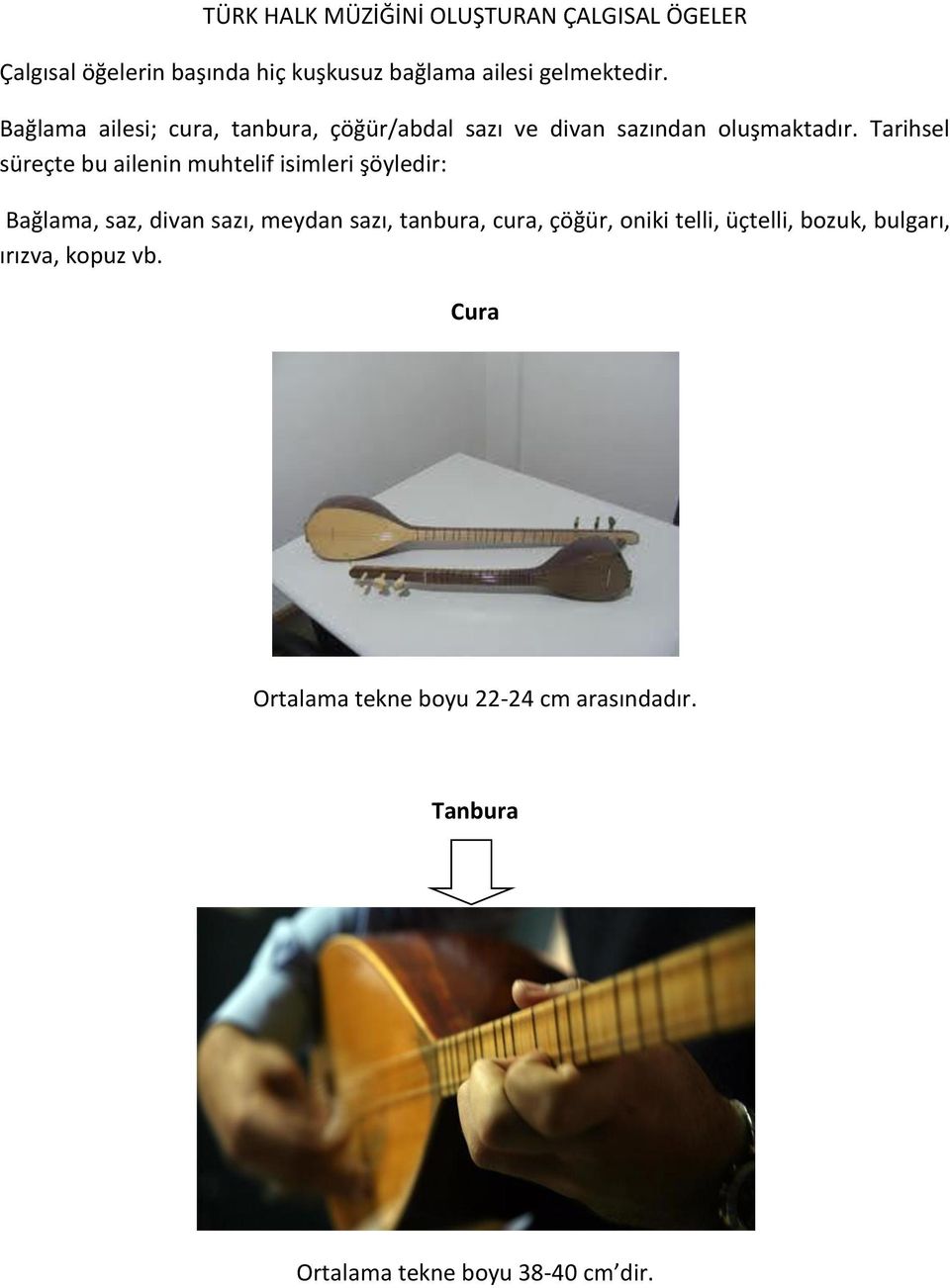 Tarihsel süreçte bu ailenin muhtelif isimleri şöyledir: Bağlama, saz, divan sazı, meydan sazı, tanbura, cura,