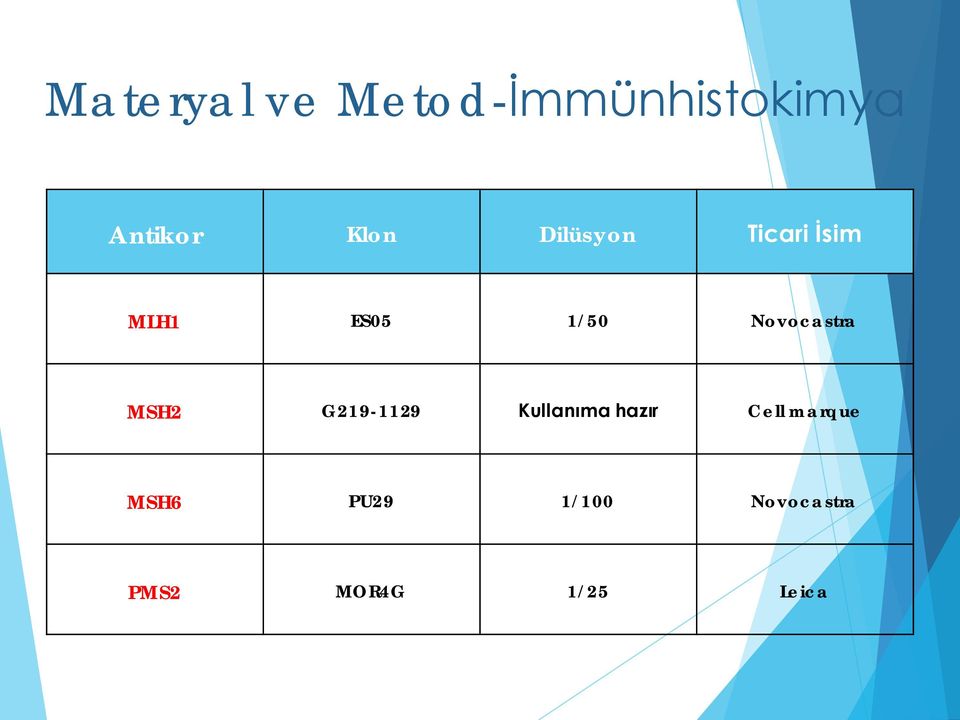 MSH2 G219-1129 Kullanıma hazır Cell marque