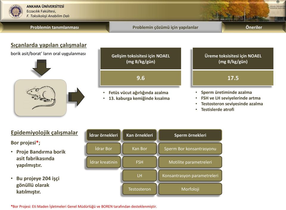 kaburga kemiğinde kısalma Sperm üretiminde azalma FSH ve LH seviyelerinde artma Testosteron seviyesinde azalma Testislerde atrofi Epidemiyolojik çalışmalar Bor projesi*; Proje Bandırma