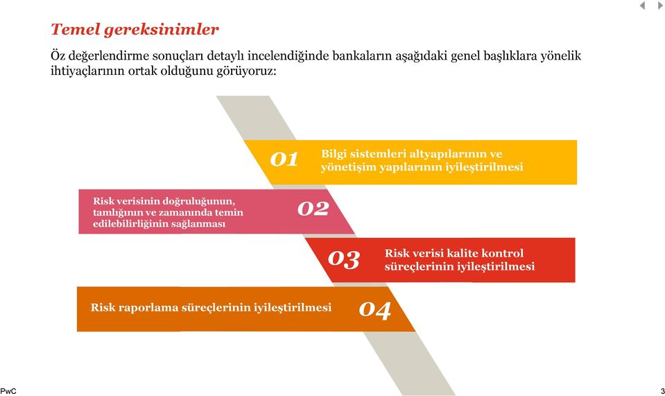 yapılarının iyileştirilmesi Risk verisinin doğruluğunun, tamlığının ve zamanında temin edilebilirliğinin