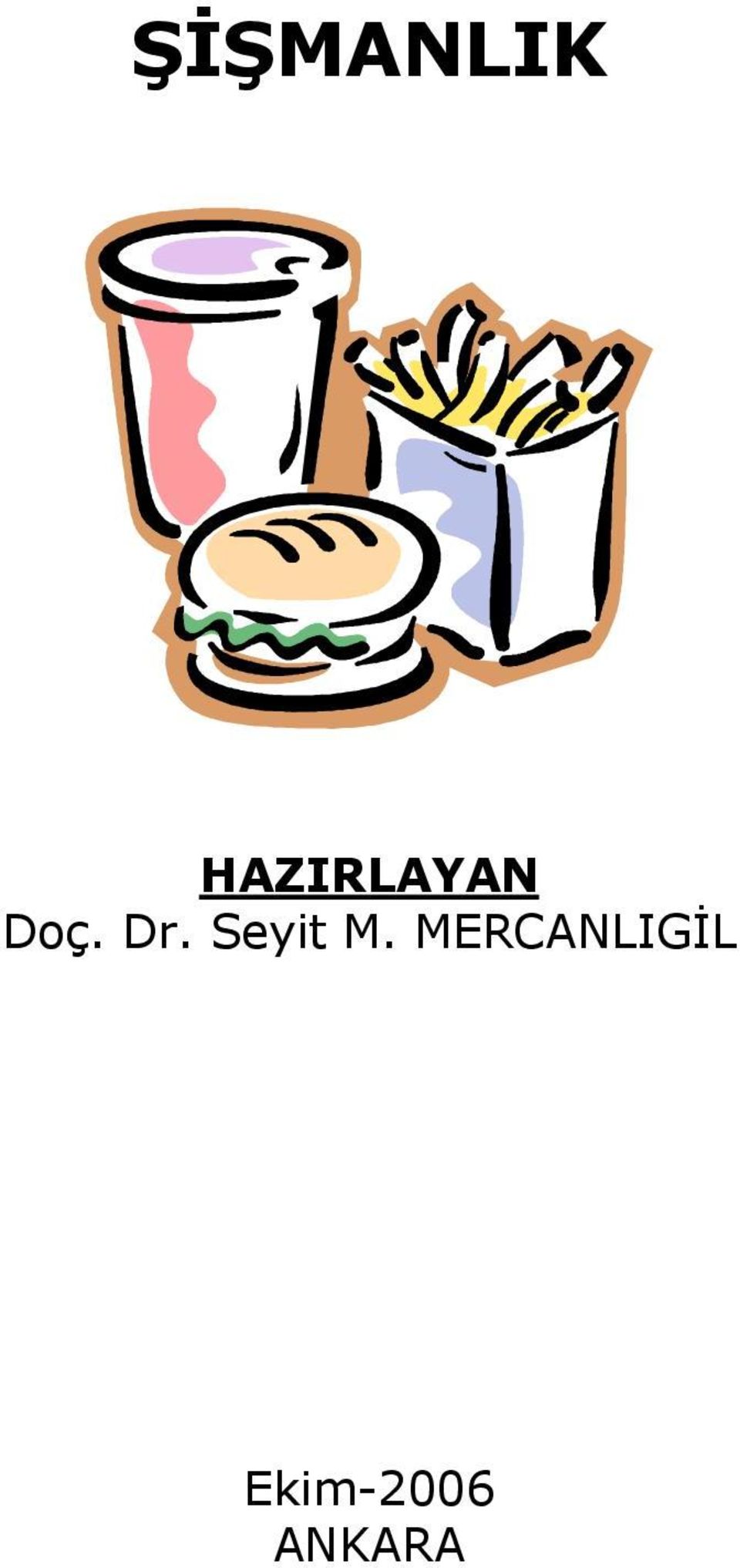 Dr. Seyit M.