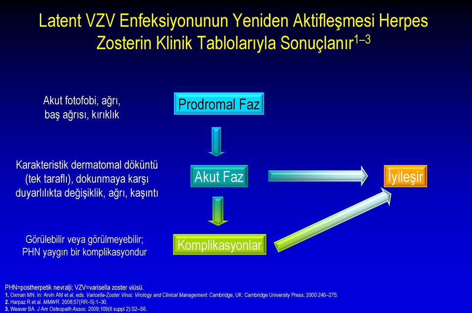 komplikasyondur Komplikasyonlar PHN=postherpetik nevralji; VZV=varisella zoster viüsü. 1. Oxman MN. In: Arvin AM et al, eds.