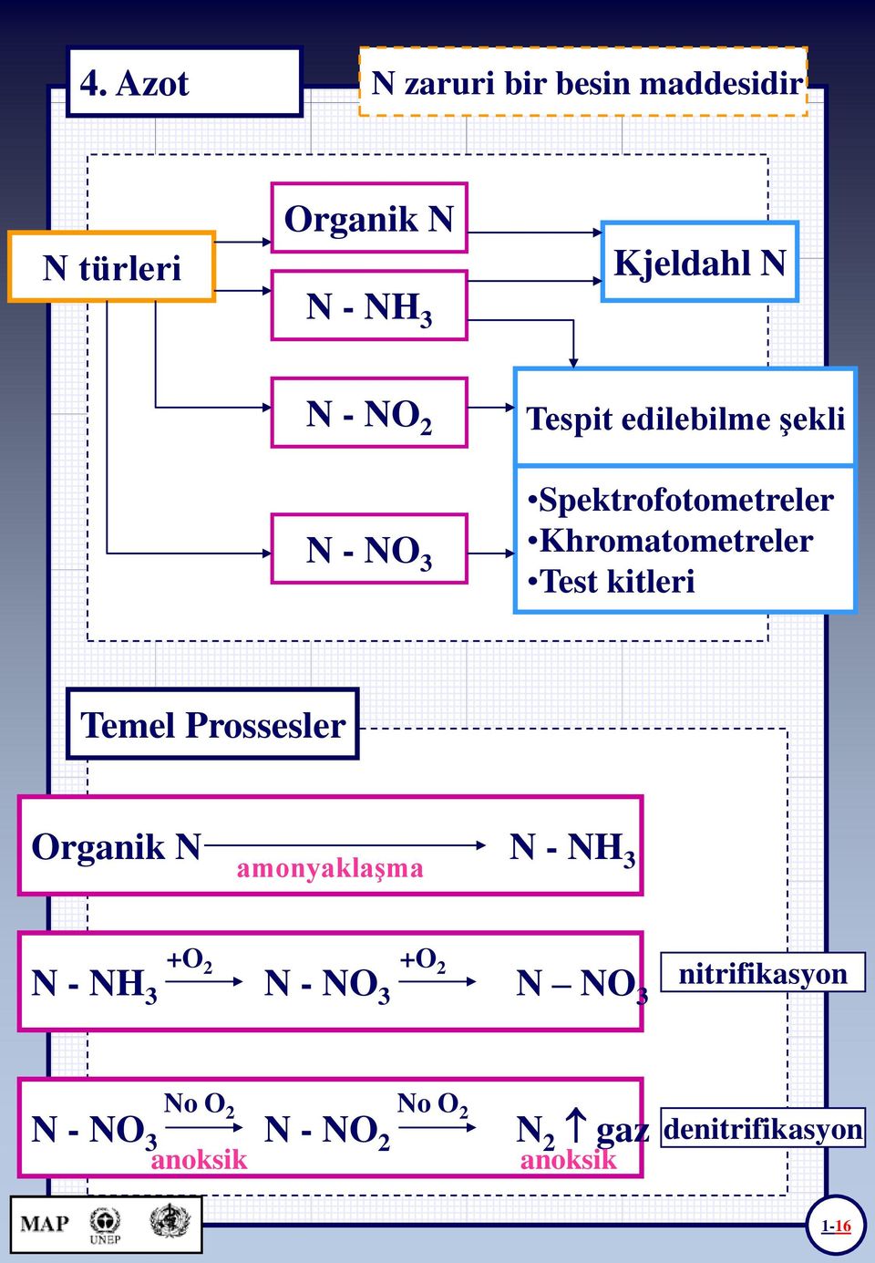 Temel Prossesler Organik N N - NH 3 amonyaklaşma +O 2 +O 2 N - NH 3 N - NO 3 N NO 3