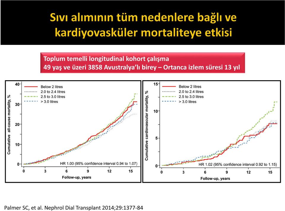 Ortanca izlem süresi 13 yıl Palmer SC, et