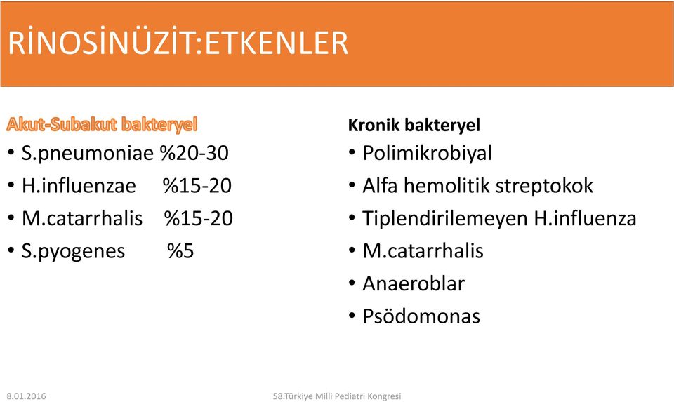 pyogenes %5 Kronik bakteryel Polimikrobiyal Alfa