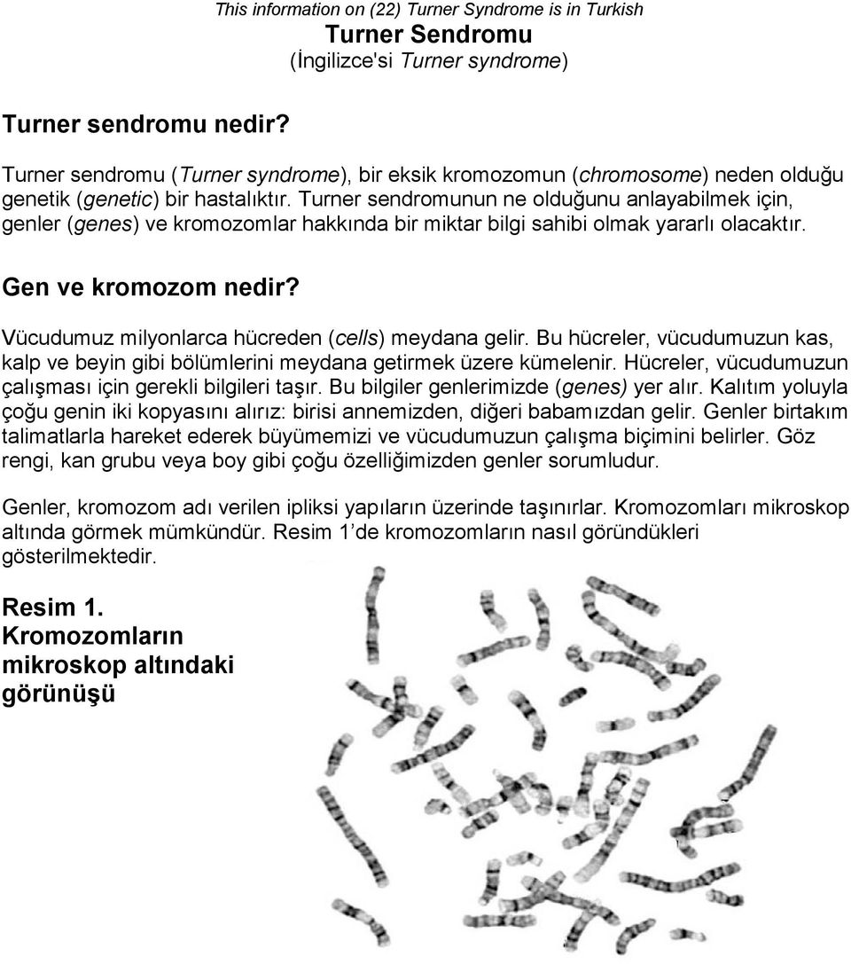(genetic) bir hastalıktır. Turner sendromunun ne olduğunu anlayabilmek için, genler (genes) ve kromozomlar hakkında bir miktar bilgi sahibi olmak yararlı olacaktır. Gen ve kromozom nedir?
